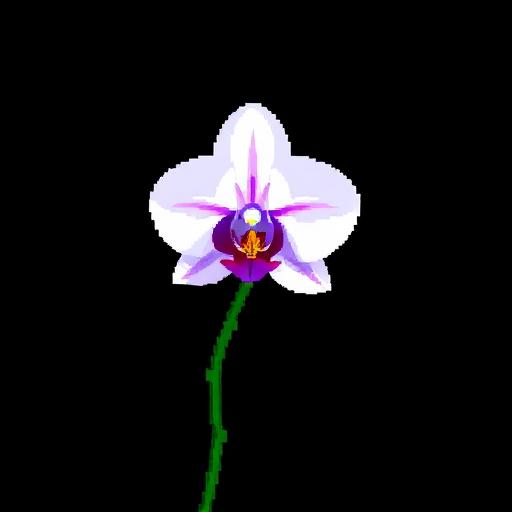 Orchids